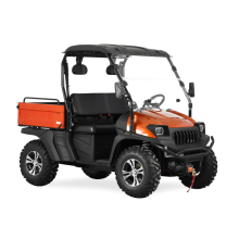 4x4 UTV EFI côte à côte 400cc Orange